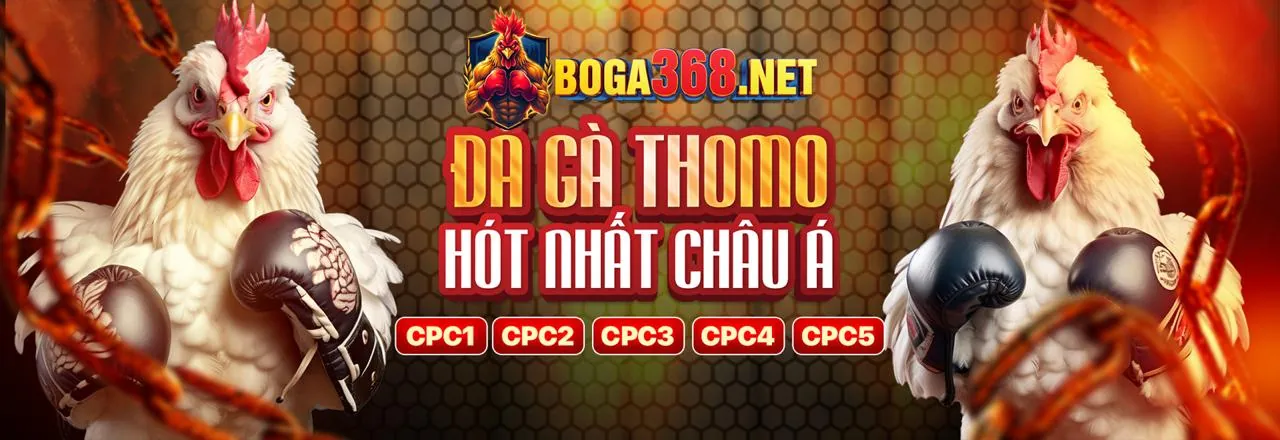 Câu Lạc Bộ VIP acb88 – Nơi Hội Tụ Những Ưu Đãi Độc Quyền