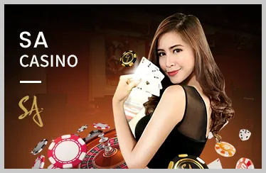 Đa dạng trận đấu và trường gà